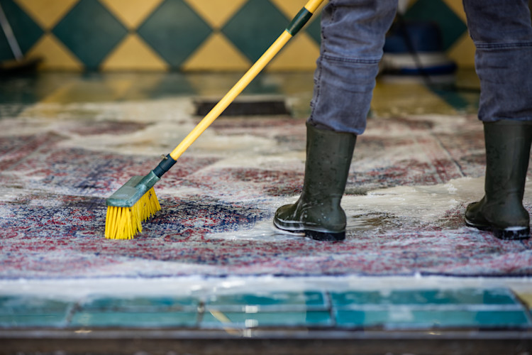 rug cleaning