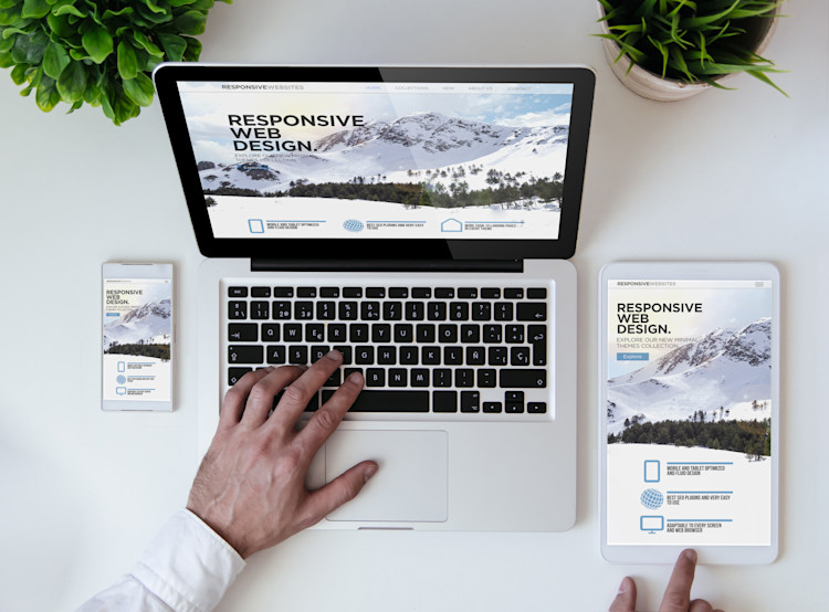 Web Design