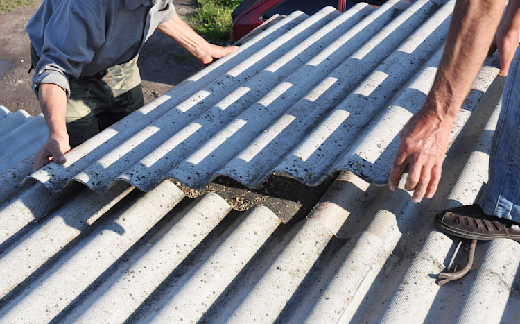 Asbestos removal professionals