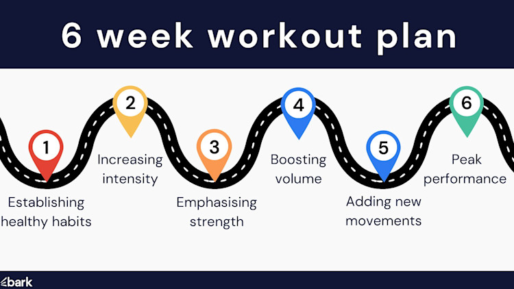 6 week workout plan