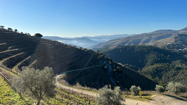 Terraced vines rising more than 100 metres from river to ridge. This dramatic stretch of the Douro is João Pires’ home turf – marked by ancient Feitoria stones as the world’s first demarcated wine region.