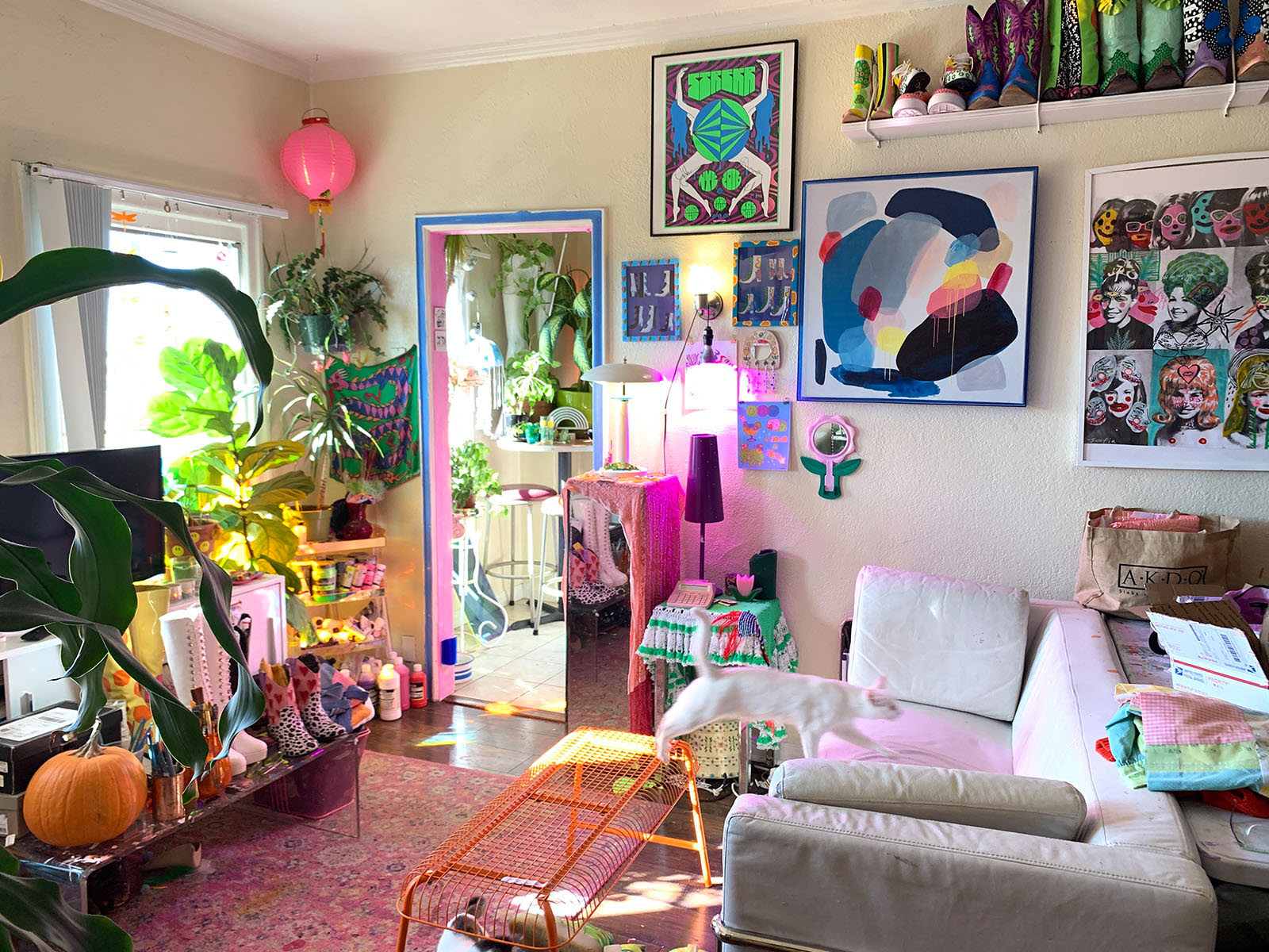 amanda adams zig zag goods
