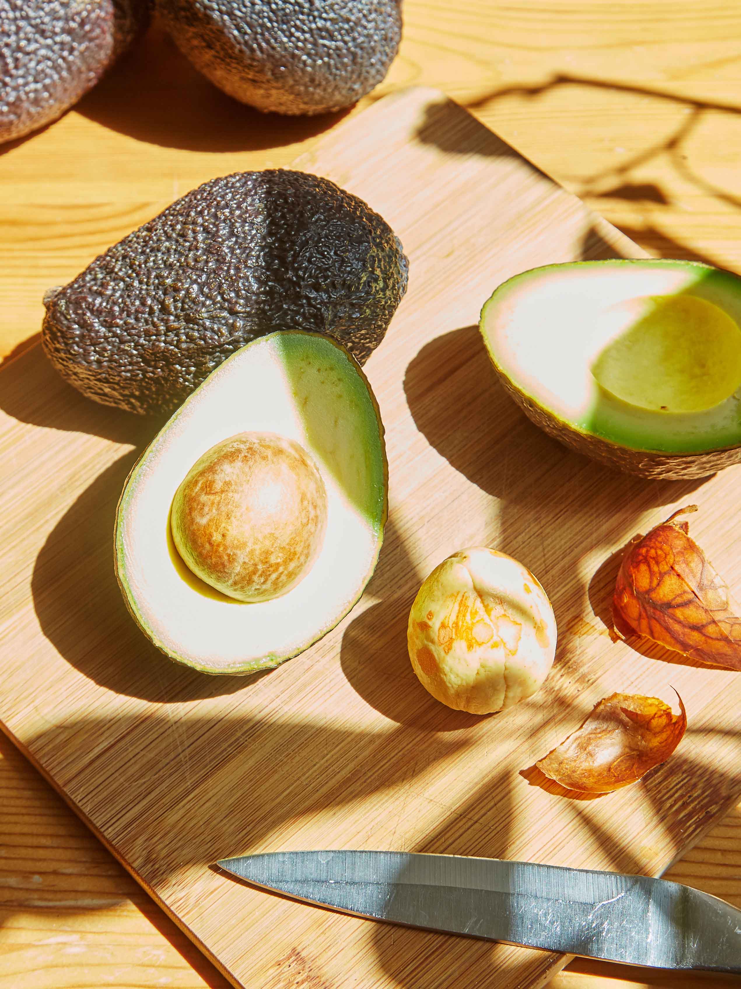 grow your own avocado