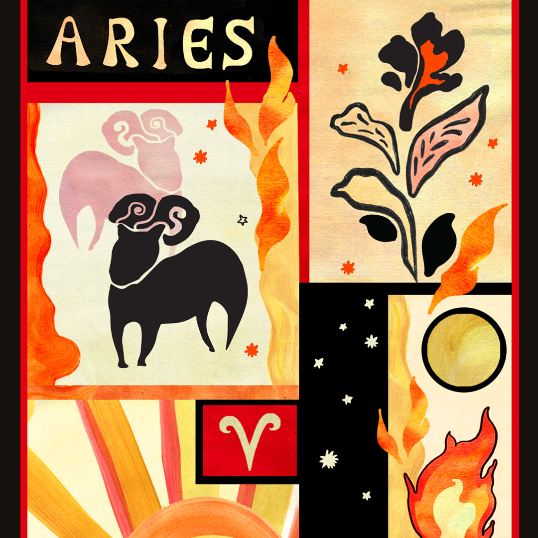 The Aries Edit