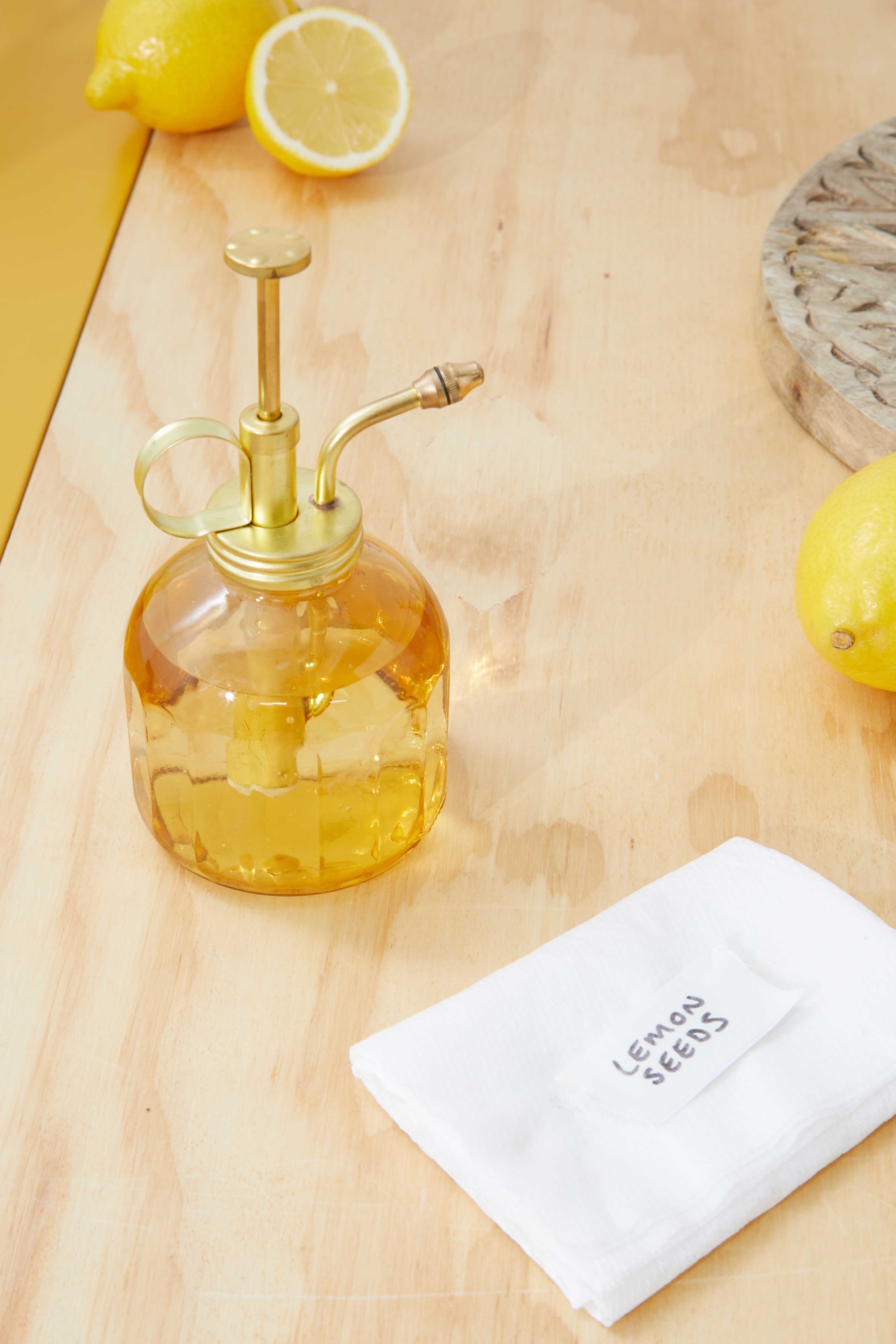 how to grow your own lemon tree