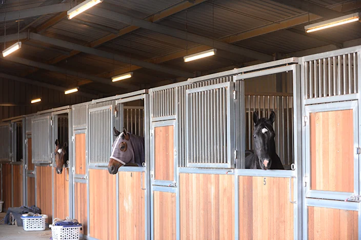 Feeding horses with gastric ulcers