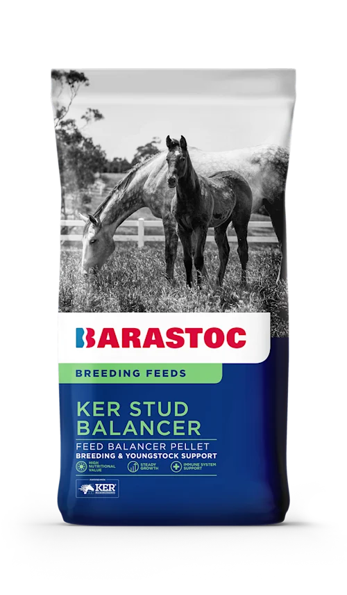 Barastoc KER Stud Balancer
