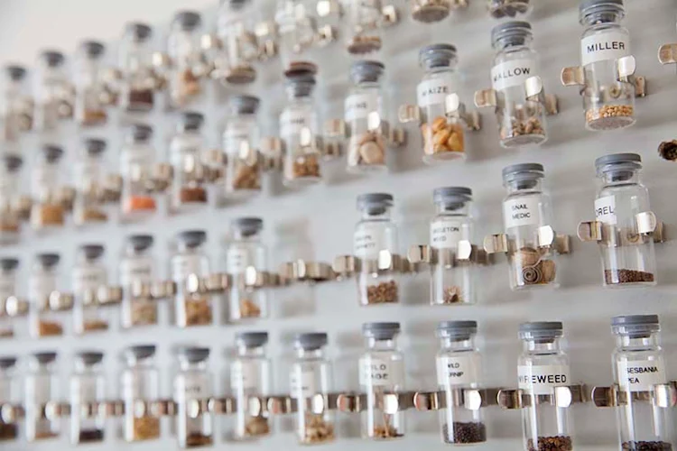 Sourcing Ingredients