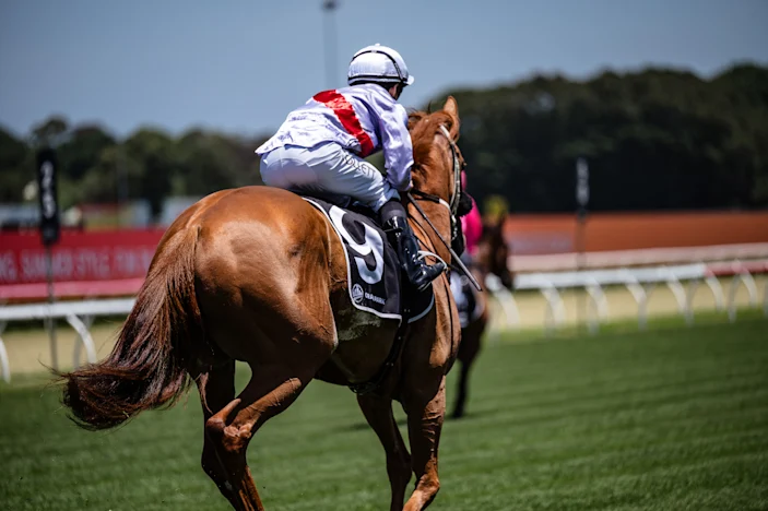 Diamond V® Postbiotics