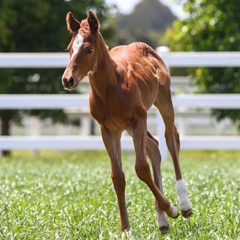 Investing in their future