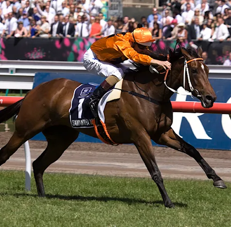 Willow Park’s Winning Formula