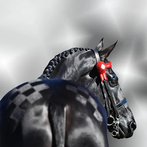 The science behind topline