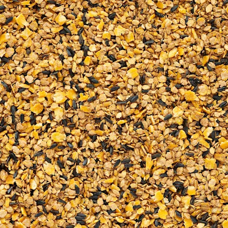 The Low Down on Processed Horse Feeds