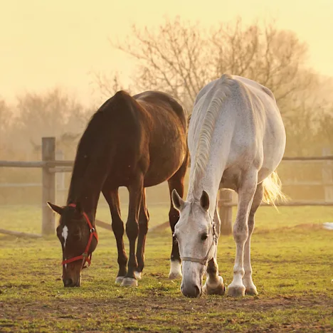 Preparing for the off season