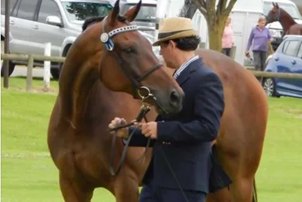 Beauty starts from within