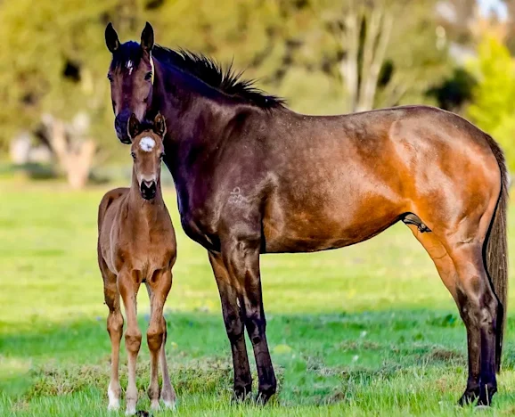 The new beginning for an old favourite