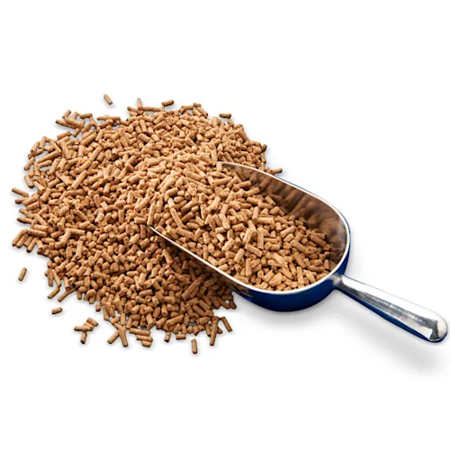 BARASTOC SENIOR TICKS ALL THE BOXES