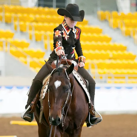 Glycaemic Index of Horse Feed