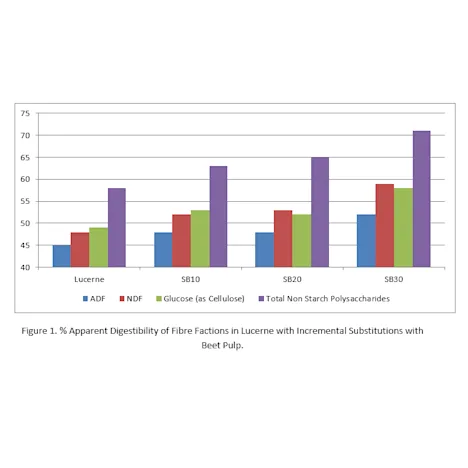 Barastoc Fibre-Beet Mash: More Than The Sum of Its Components