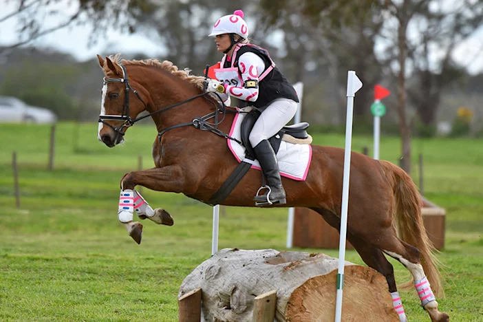 Energising your horse