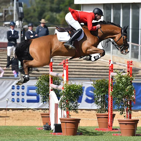 Nutritional Advantages for Performance Horses