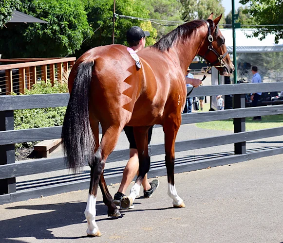 Understanding your business