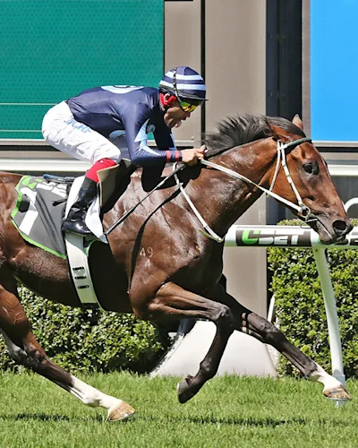 Barastoc High Performance