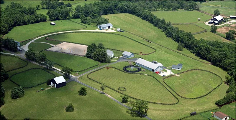 Kentucky Equine Research