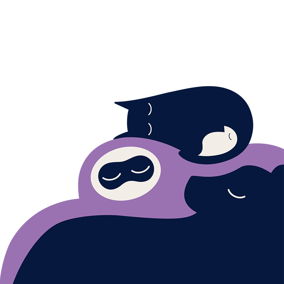 Sleepover illustration - bear, sloth and cat sleeping