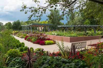 Lyft Local Offers > Denver > Denver Botanic Gardens