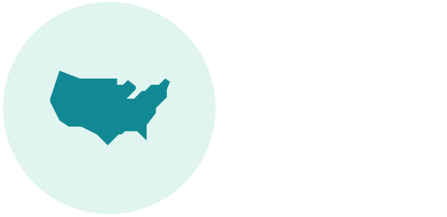 United States icon