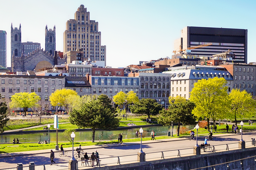 Cityscape of Montreal with historic and modern buildings, green trees, people walking and biking on a sunny day.