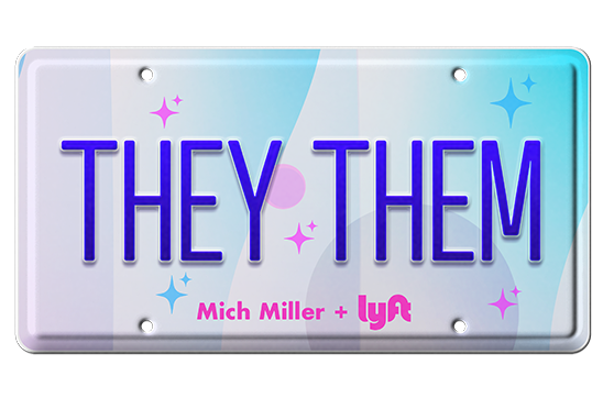 art license pronoun plates from artist  Mich Miller