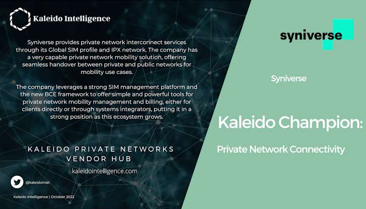 Kaleido Champion: Private Network Connectivity
