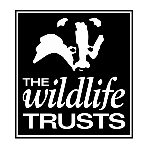 The wildlife trusts logo