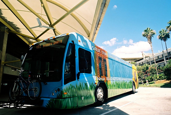 Lynx bus