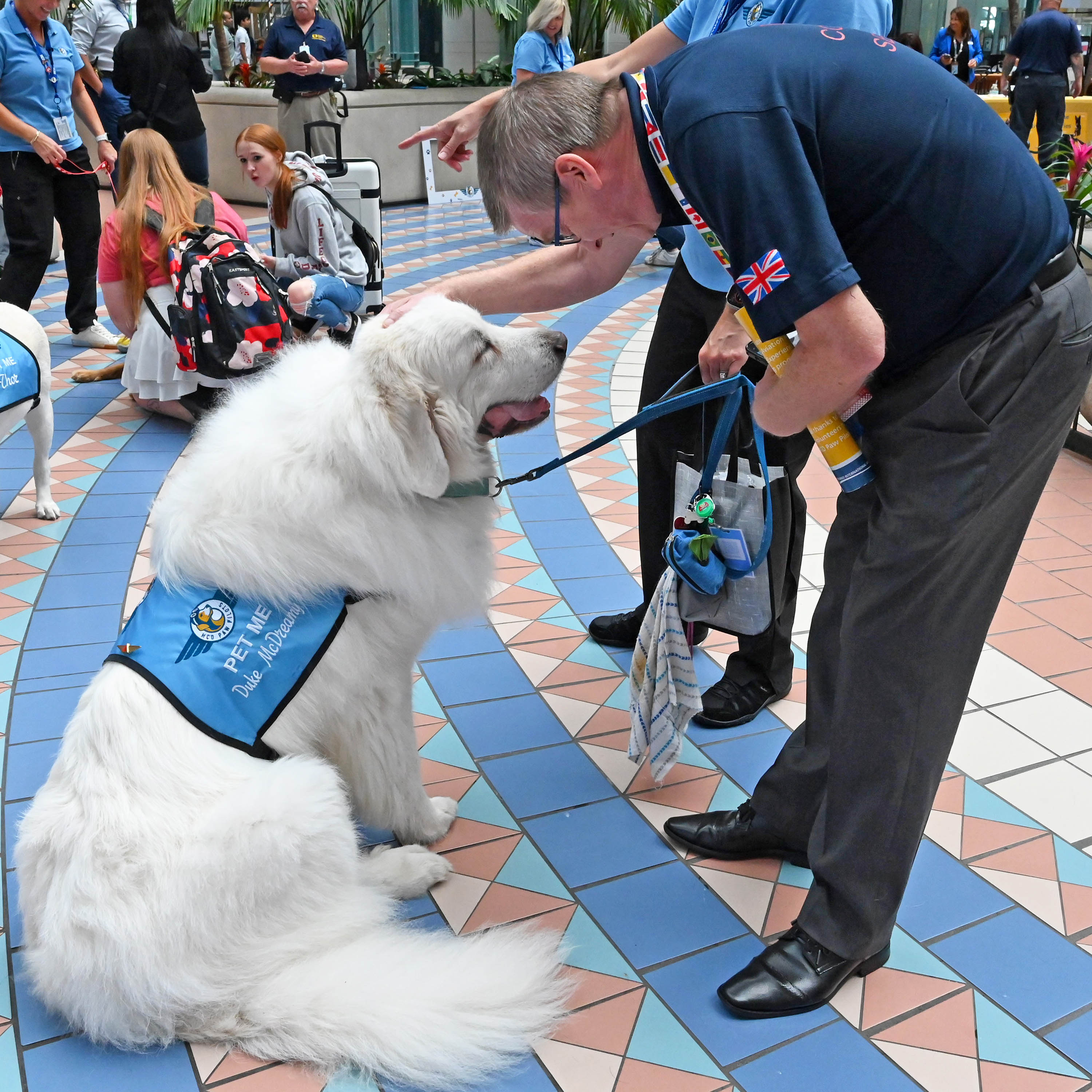 MCO Paw Pilots white dog being petted by a person.