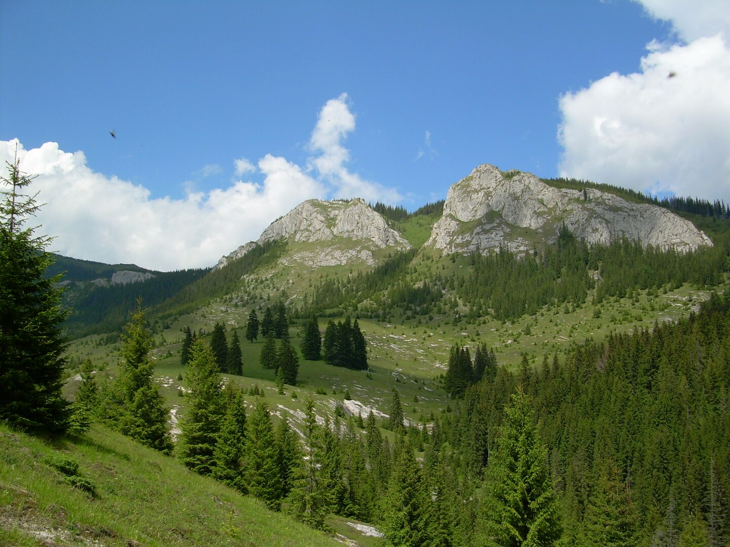 Apuseni