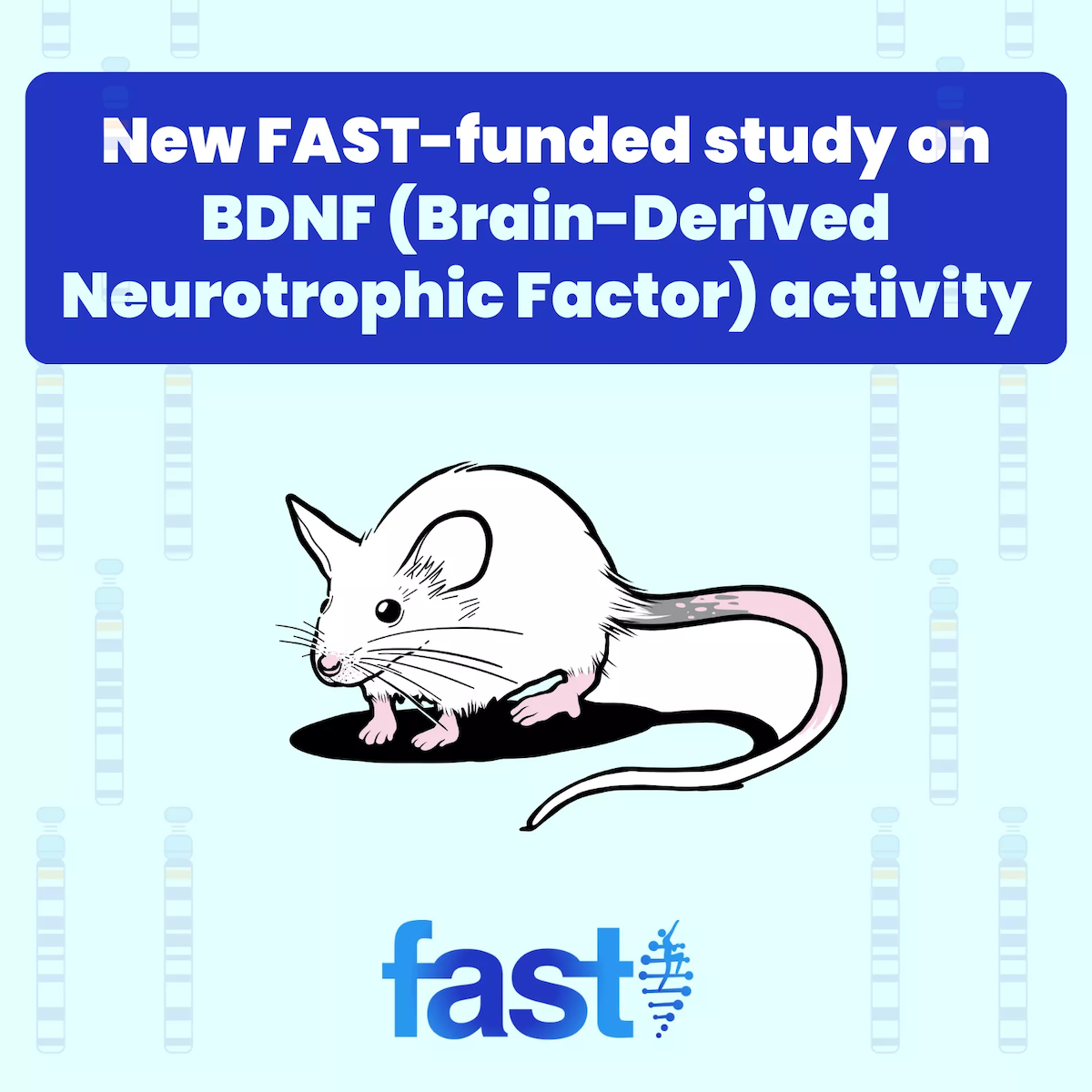 Image for New FAST-funded study on Brain-Derived Neurotrophic Factor activity
