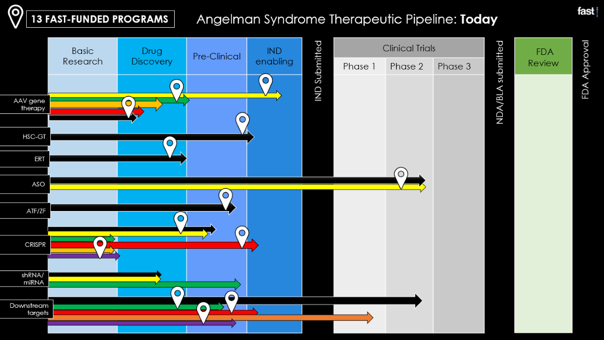 Graphic: Angelman syndrome therapeutic pipeline