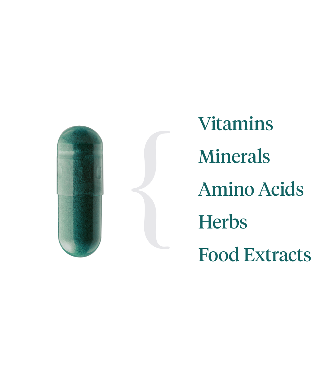 Supplement