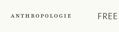 Explore Our Brands