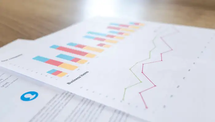 Image of a profit and loss statement with graphs
