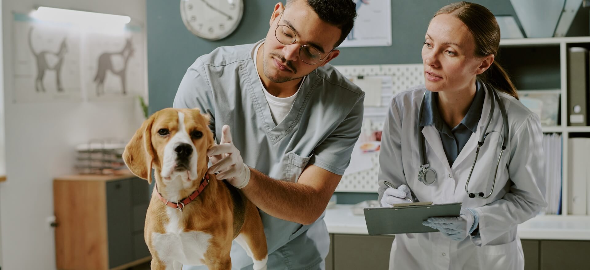 How a Practice Loan Can Benefit Your Healthcare Business
