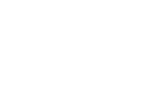levy-health