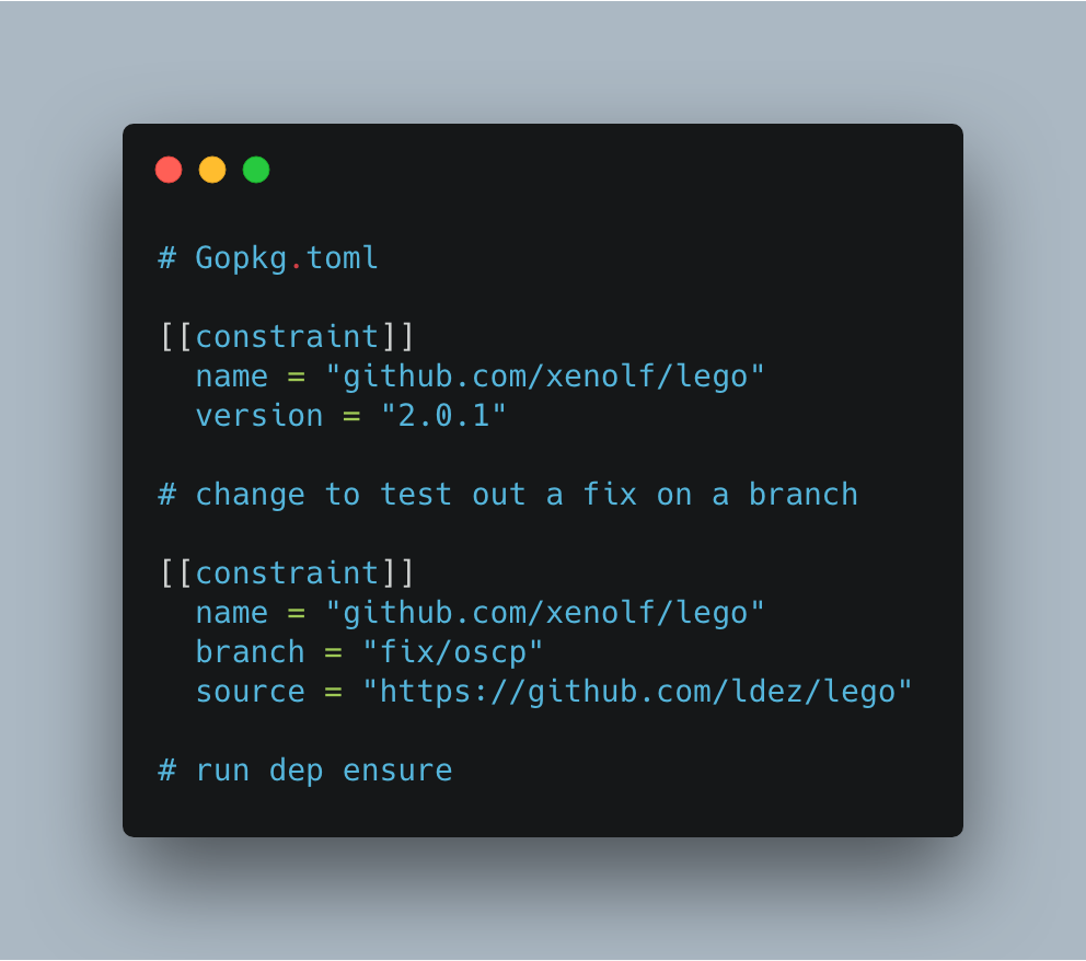 test-branch-golang
