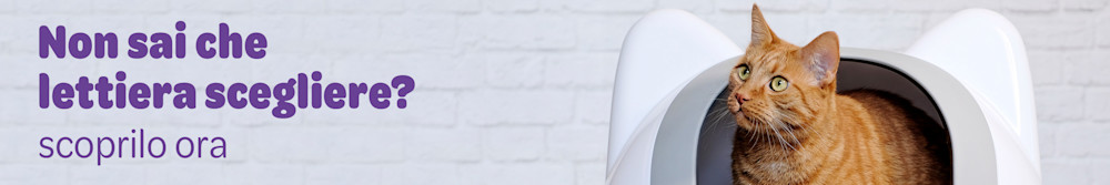 Scopri le lettiere preferite del tuo gatto
