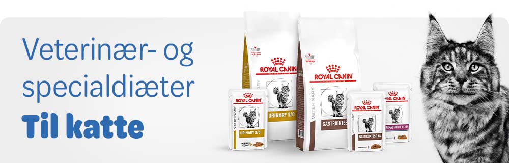 Diætfoder til katte
