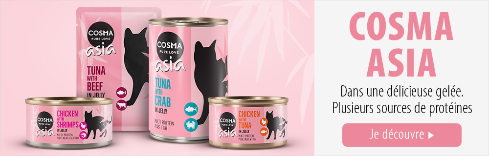 Cosma Asia