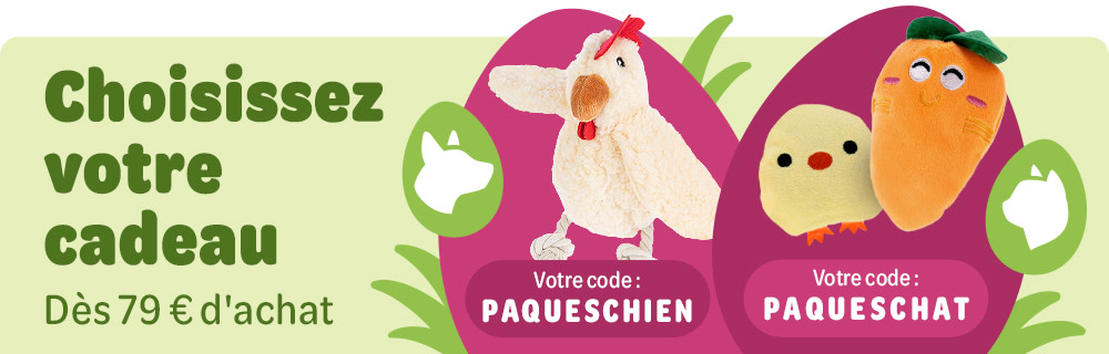 Une friandise offerte